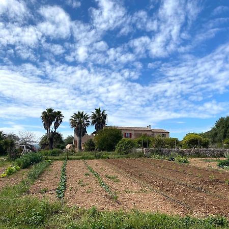 Finca Hotel Ses Cases Noves Sant Llorenc Des Cardassar Luaran gambar