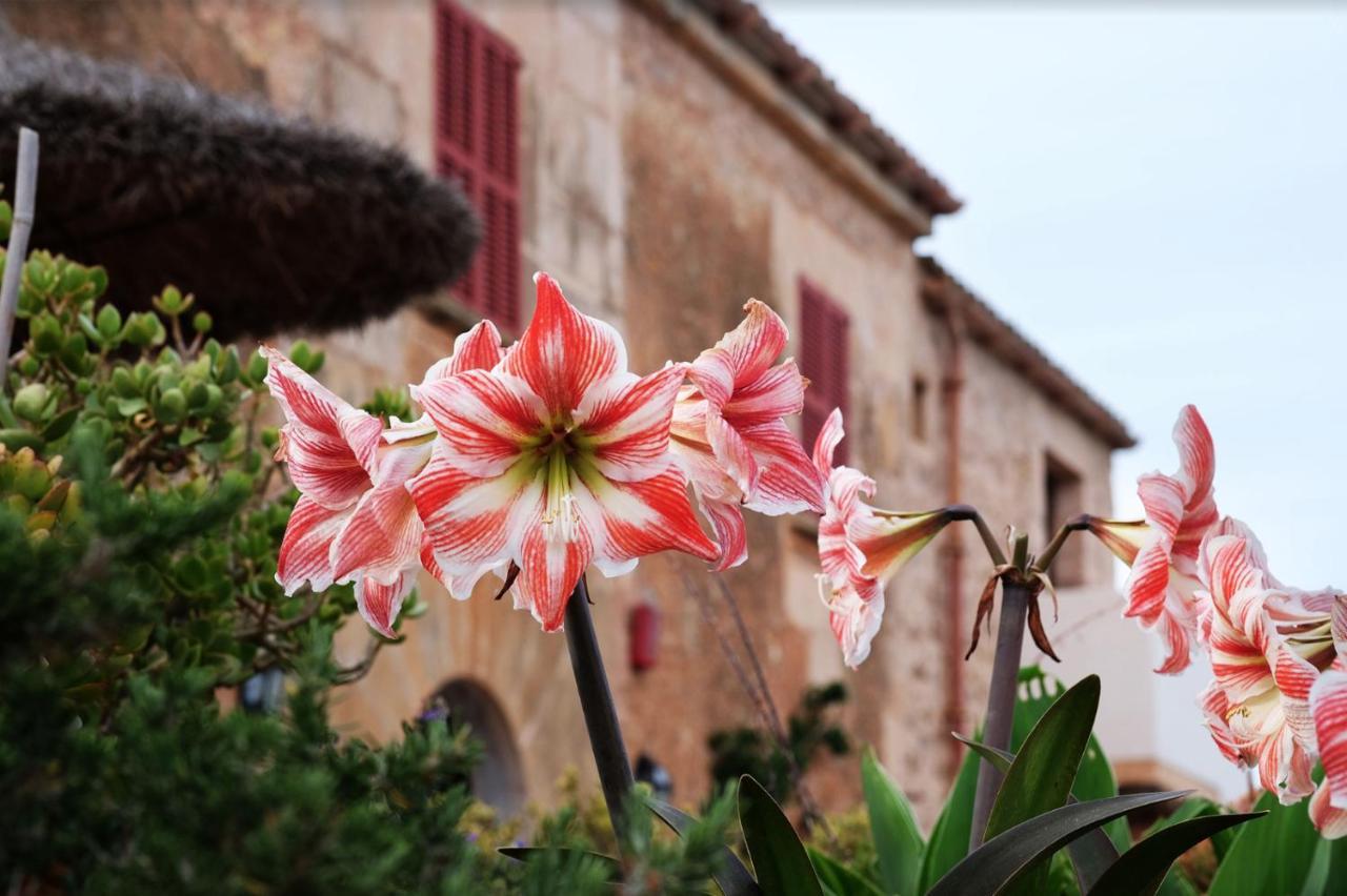 Finca Hotel Ses Cases Noves Sant Llorenc Des Cardassar Luaran gambar