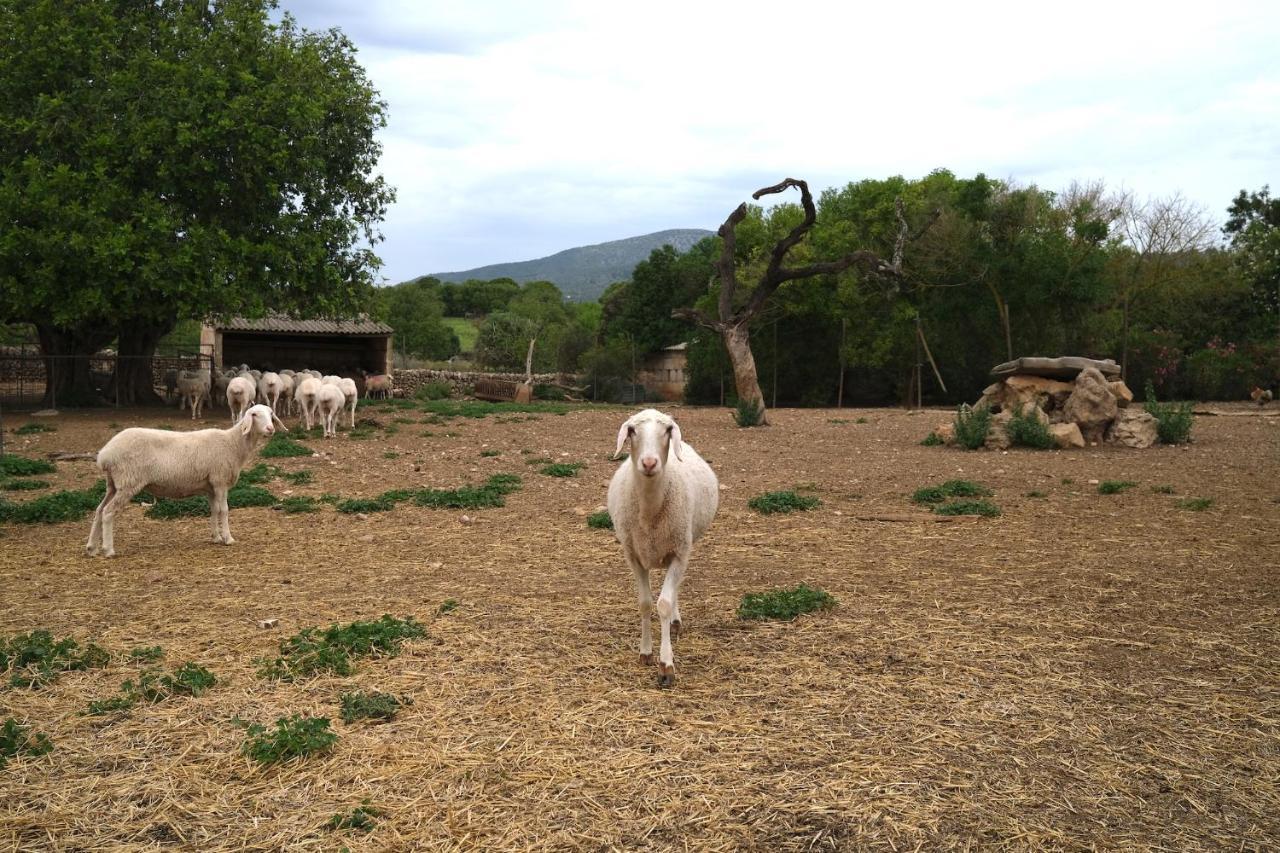 Finca Hotel Ses Cases Noves Sant Llorenc Des Cardassar Luaran gambar