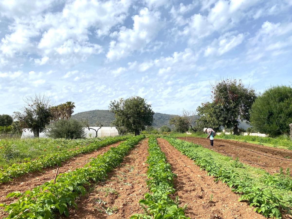 Finca Hotel Ses Cases Noves Sant Llorenc Des Cardassar Luaran gambar