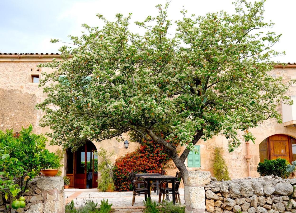 Finca Hotel Ses Cases Noves Sant Llorenc Des Cardassar Luaran gambar