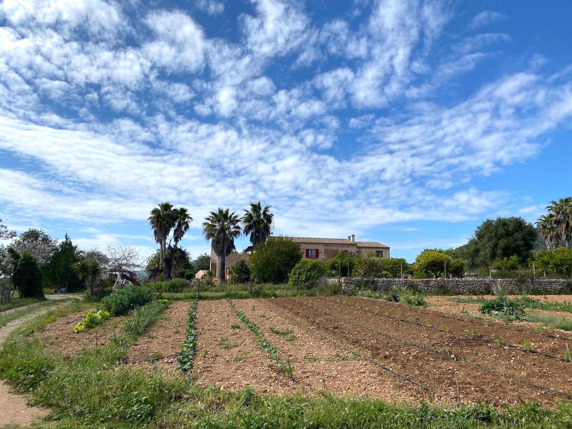 Finca Hotel Ses Cases Noves Sant Llorenc Des Cardassar Luaran gambar